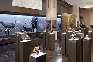 ვაკანსიები