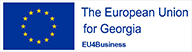 ევროკავშირის მისია საქართველოში